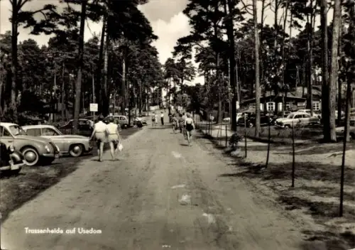 Ak Trassenheide auf Usedom, Straßenansicht, Wald, Parkplatz