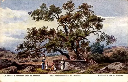 Künstler Ak Perlberg, F., Hebron Palästina, Abrahamseiche, Le chene d'Abraham