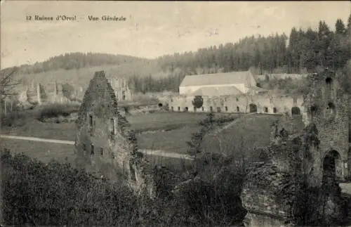 CPA Orval Florenville Wallonie Luxembourg, Abbaye d'Orval, Ruines, Vue Générale