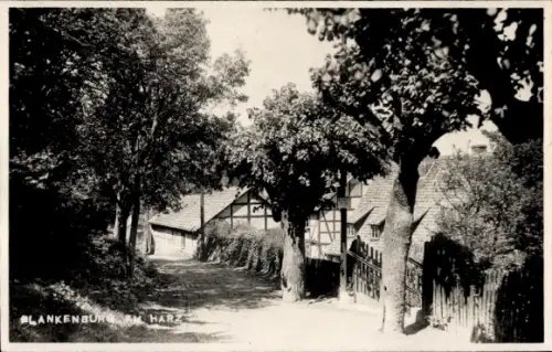Foto Ak Blankenburg am Harz, Straße, Häuser