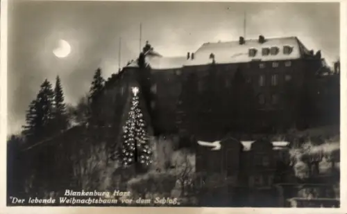 Ak Blankenburg Harz,lebender Weihnachtsbaum vor Schloss