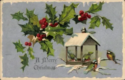 Ak Frohe Weihnachten, Stechpalme, Vögel