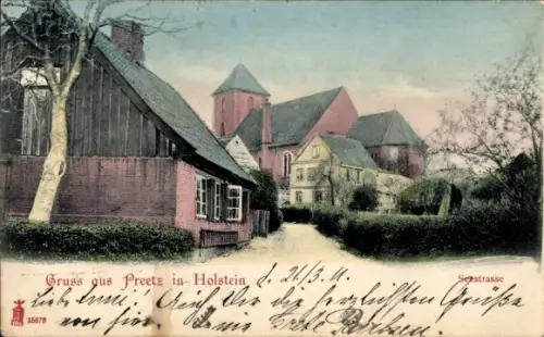 Ak Preetz in Holstein, Seestraße