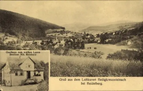 Ak Heiligkreuzsteinach am Neckar, Gesamtansicht, Gasthaus zum weißen Lamm