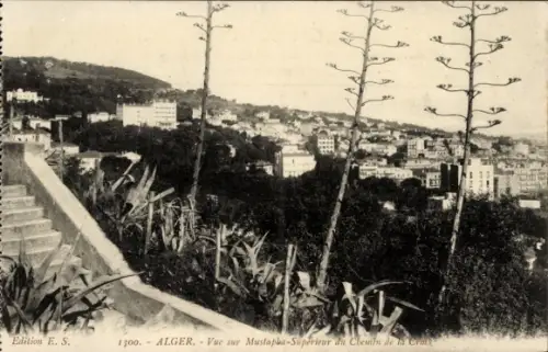 Ak Alger Algerien, Vue sur Mustapha Supérieur du Chemin de la Croix