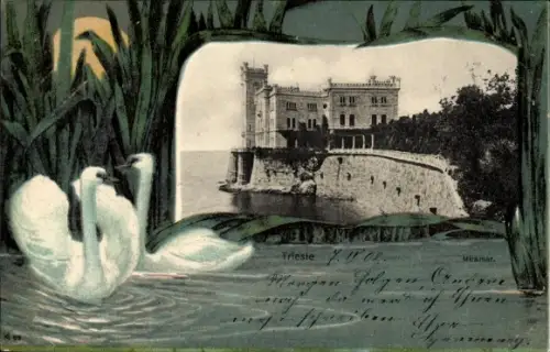 Passepartout Ak Triest Trieste Friuli Venezia Giulia, Miramar, Schwäne