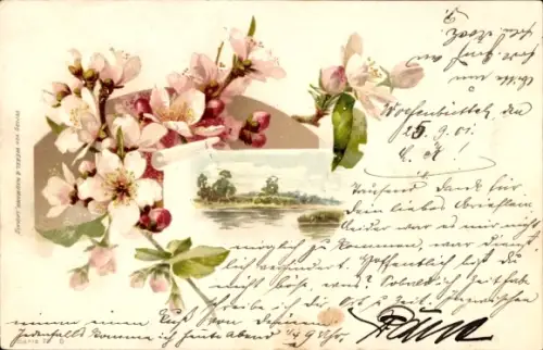 Litho Blühende Blumen, Fluss