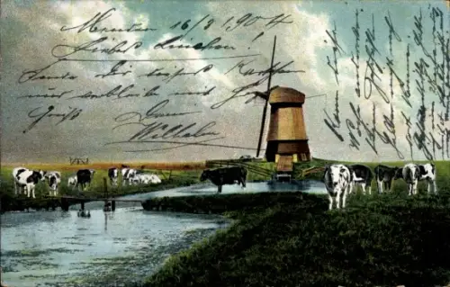 Ak Zaanstreek Nordholland, Windmühle, Kühe