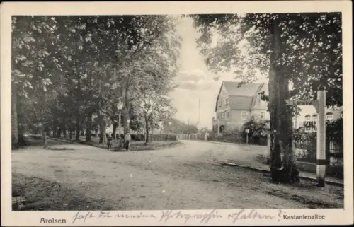 Ak Bad Arolsen in Hessen, Kastanienallee