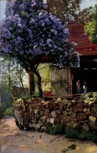 Ak Bauernhof, Baumblüte, Photochromie Nenke und Ostermaier
