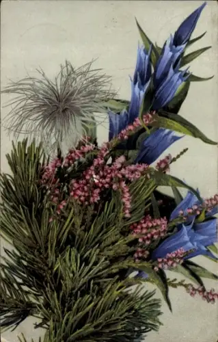 Ak Enzian, Heidekraut und Nadelholz, Photochromie Nenke und Ostermaier