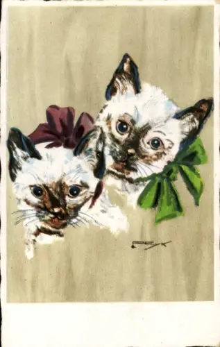 Künstler Ak Peyk, Zwei Hauskatzen, Kätzchen mit Schleifen