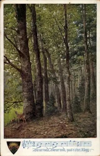 Lied Ak Wiener Wald, Rehe, Tannenbäume