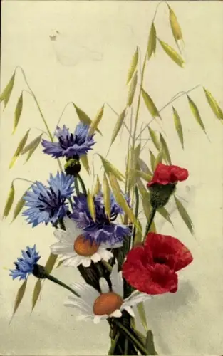 Ak Blumenstrauß, Kornblumen, Mohn, Photochromie Nenke und Ostermaier