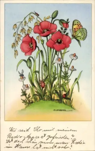 Künstler Ak Lambertz, Blumen, Mohn, Käfer, Schmetterlinge