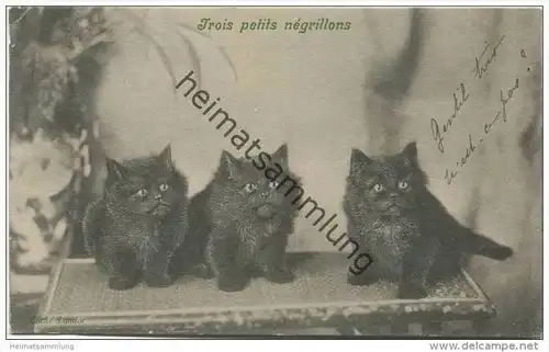 Katzen - Trois petits négrillons