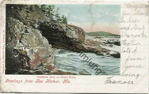 Maine - Greetings from Bar Harbor - Anemone Cave on Ocean Drive - Publisher Chisholm Bros Portland Me gel. 1904