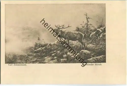 Jagd - Carl Zimmermann - Schreiender Hirsch - Künstleransichtskarte ca. 1900