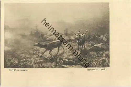 Jagd - Carl Zimmermann - Treibender Hirsch - Künstleransichtskarte ca. 1900