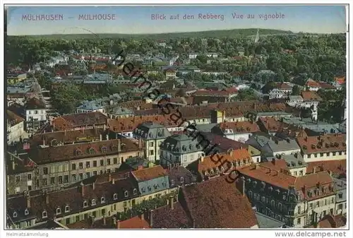 Mülhausen im Elsass (Mulhouse) - Blick auf den Rebberg - Vue au vignoble - Feldpost