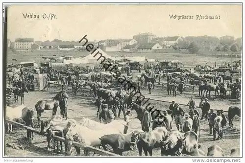 Snamensk (Kaliningrad) - Wehlau - Weltgrösster Pferdemarkt