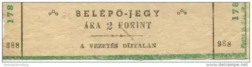 Ungarn - Belepojegy - a vezetes dijtalan - Ticket Eintrittskarte