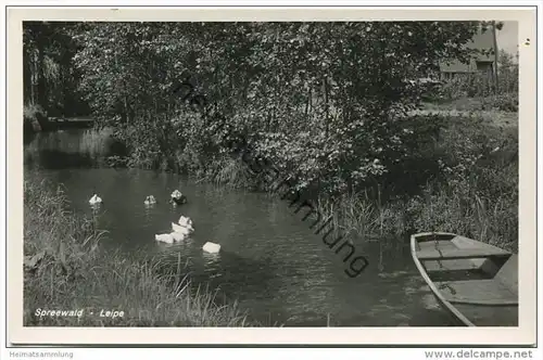 Leipe - Spreewald - Foto-AK - Verlag Schöning &amp; Co. Lübeck