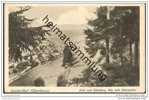 Lautenthal - Blick vom Schulberg - Weg nach Hahnenklee