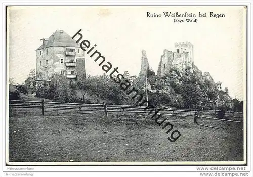 Ruine Weissenstein - Regen