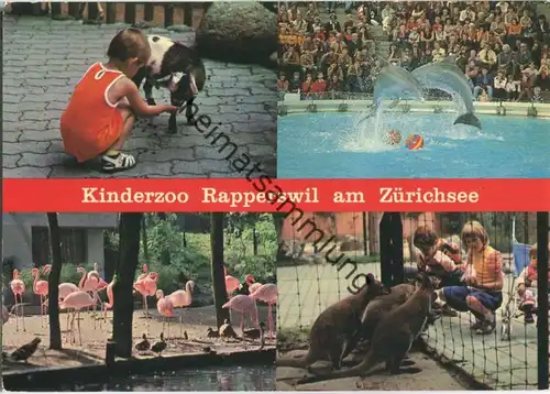Kinderzoo - Rapperswil am Zürichsee
