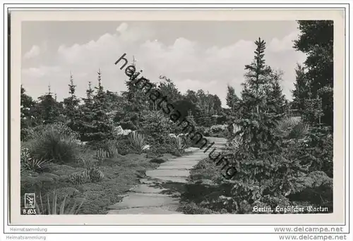Berlin-Tiergarten - Englischer Garten - Foto-AK 50er Jahre