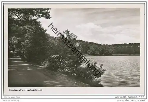 Berlin-Grunewald - Am Schlachtensee - Foto-AK  50er Jahre