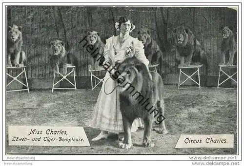 Circus Charles ab 1913 Circus Krone - Miss Charles (Ida Krone) - Löwen- und Tiger Dompteuse