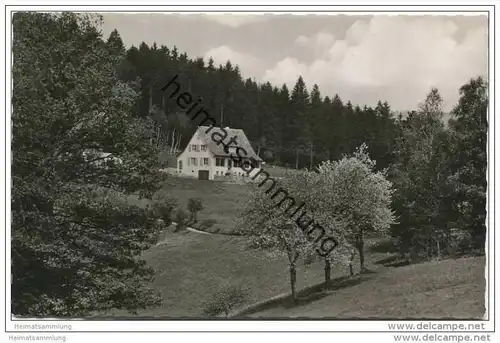 Alpirsbach - Nollenberg - Pension Waldheim - Besitzer Herm. Wössner - Foto-AK