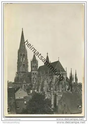 Freiburg - Münster von Südost - Foto-AK
