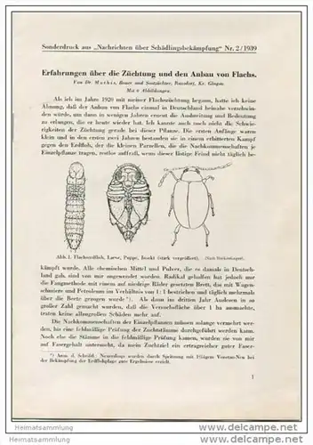 Sonderdruck aus Nachrichten über Schädlingsbekämpfung Nr. 2 1939 -Erfahrungen über die Züchtung und den Anbau von Flachs