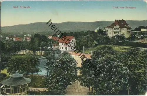 Bad Altheide - Blick vom Kurhaus - Verlag R. Sponer Neisse 1910