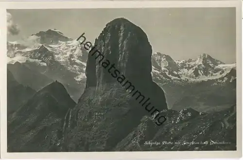 Schynige Platte - mit Jungfrau und Gummihorn - Foto-Ansichtskarte - Edition Photoglob-Wehrli & Vouga & Co. A. G. Zürich