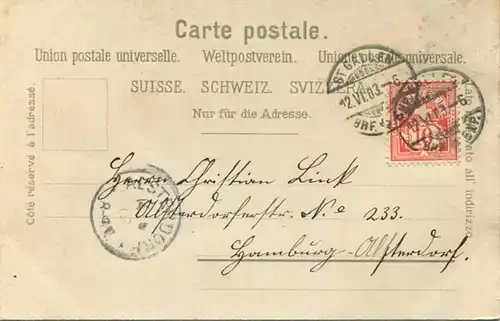 St. Gallen - Partie aus dem Stadtpark - Verlag Hermann Ludewig Leipzig gel. 1903