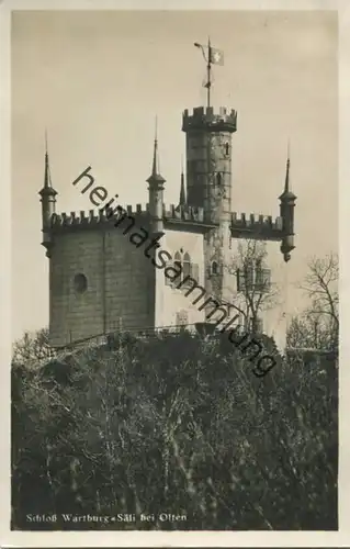 Olten - Schloss Wartburg - Säli - Foto-AK - gel. 1930