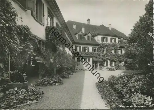 Mammern - Kuranstalt - Foto-AK Grossformat - Verlag J. Gaberell Thalwil gel. 1951