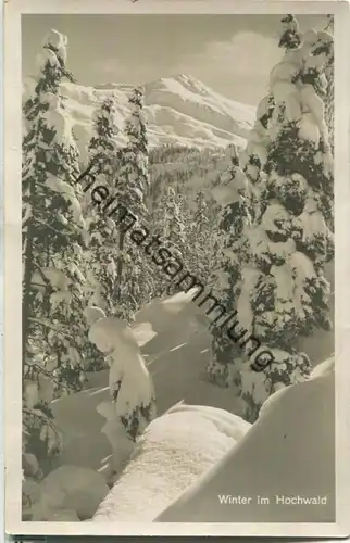 Winter im Hochwald - Foto-Ansichtskarte - Verlag Trauffer Holzschnitzerei Davos