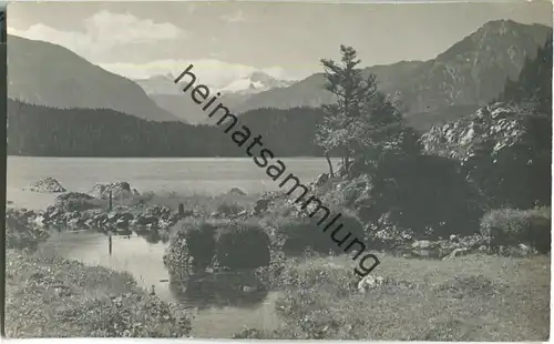 Altaussee - Seewiese - Foto-Ansichtskarte 20er Jahre - Verlag Jos. Kain Mitterndorf