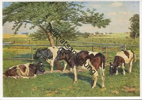 Kühe auf der Weide - Künstlerkarte W. Tag In der Koppel - Verlag Emil Köhn München