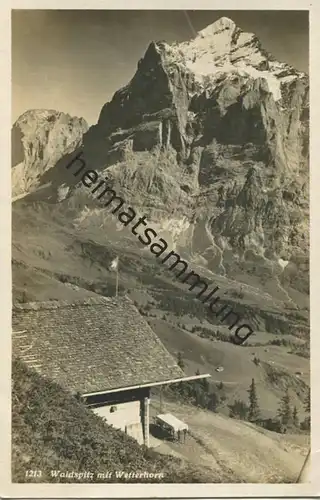 Hotel Alpenrose Waldspitz mit Wetterhorn - Foto-AK - Verlag Photo-Suisse Grindelwald gel. 1936