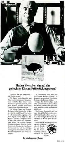 10 x Original-Werbung/ Anzeigen 1909 bis 1969 - VÖGEL - Größe unterschiedlich