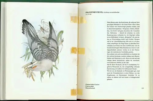 A. Rutgers - Australische Vogelwelt in 2 Bänden
