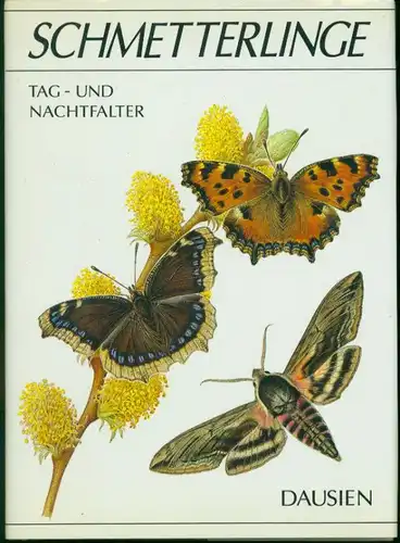 Schmetterlinge - Tag- und Nachtfalter