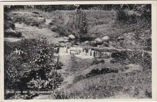[Ansichtskarte] Gruss von der Springseequelle. 