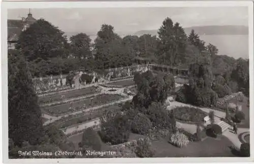 [Ansichtskarte] Insel Mainau (Bodensee), Rosengarten. 